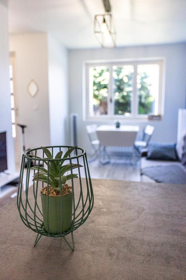 Apartamento Maisonnette Avec Jardin, Parc Du Chene Bron Exterior foto